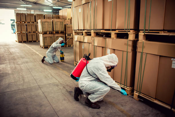 Wasp Removal Services in Brandermill, VA