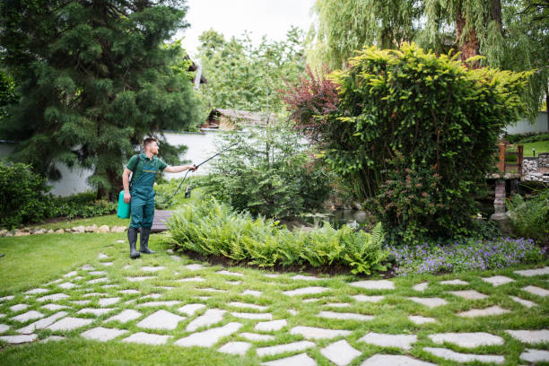 Best Wasp Removal Services  in Brandermill, VA