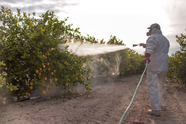 Best Bed Bug Extermination  in Brandermill, VA