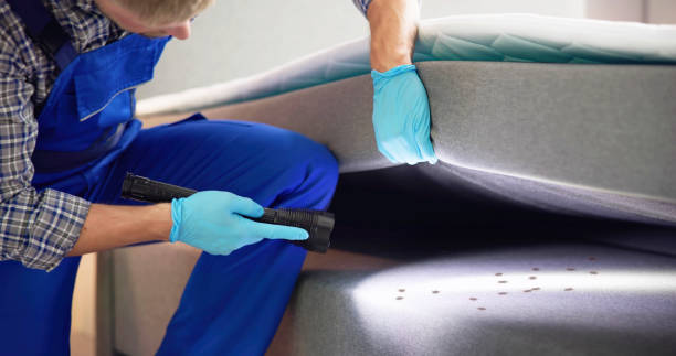 Best Rat Extermination Near Me  in Brandermill, VA