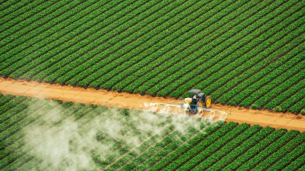 Trusted Brandermill, VA Pest Control Experts