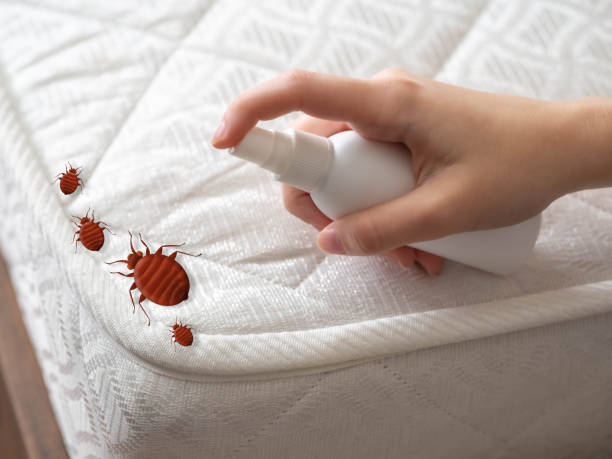 Best Pest Inspection Near Me  in Brandermill, VA