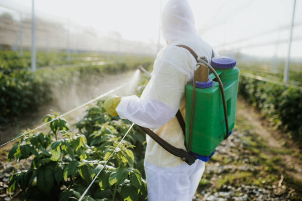 Best Affordable Pest Control Services  in Brandermill, VA